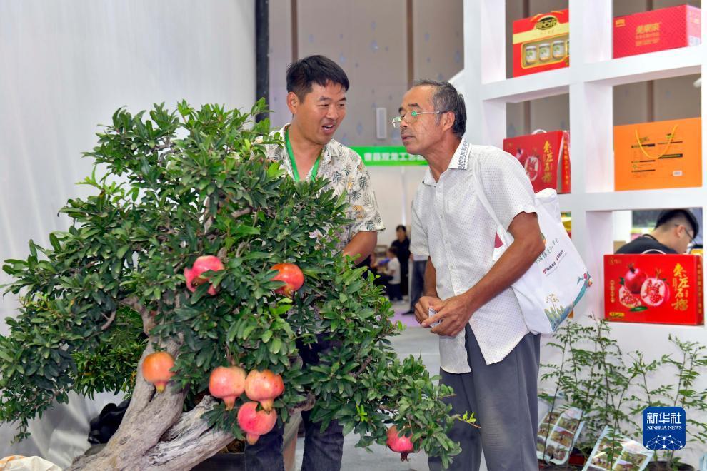 捕鱼开户38